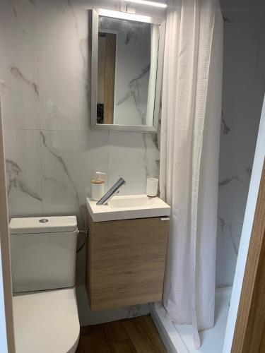 une salle de bain avec un lavabo, des toilettes et un miroir dans l'établissement Studette Cosy, à Nice