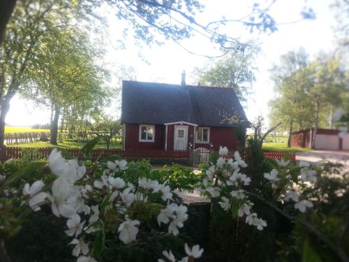 a small red house in a garden with flowers at Hus på Lantgård Viken in Mjöhult