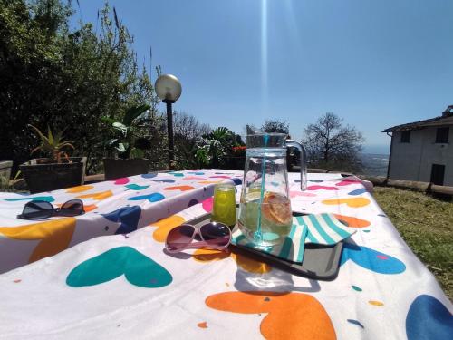 a picnic table with glasses and a blender on it at Casa Rubio in Camaiore