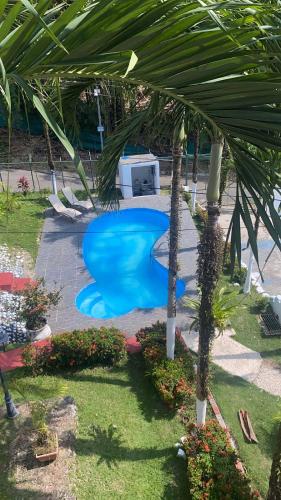 a blue pool in a yard with a palm tree at Villas manuel antonio in Quepos
