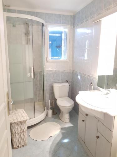 une salle de bain avec toilettes, douche et lavabo dans l'établissement A punta di Cupabia, à Serra-di-Ferro