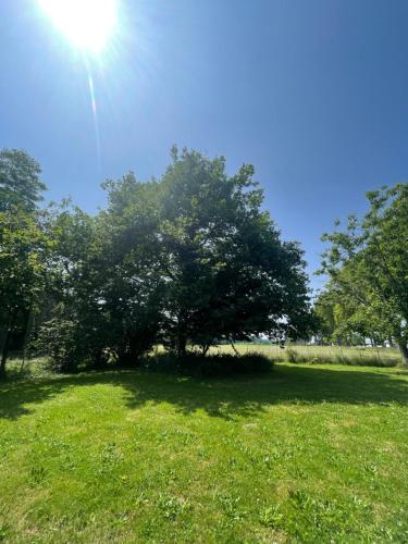 a tree in the middle of a grass field at Manoir Maison Ma Valérie in Castétis