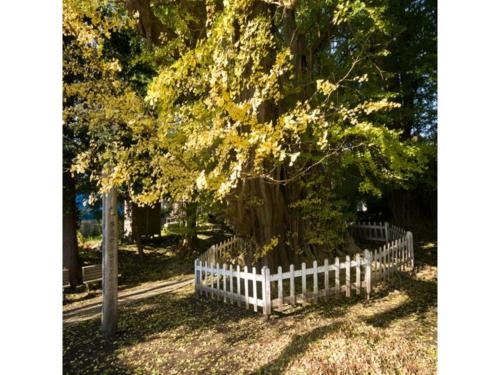 a white picket fence around a tree at Hotel Tetora Hachinohe - Vacation STAY 38102v in Hachinohe