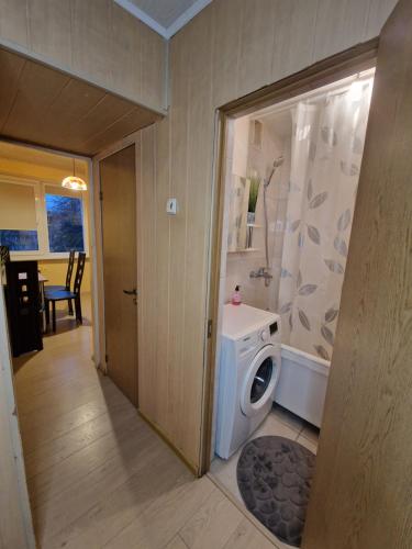 ビルシュトナスにあるPušų lašas apartamentaiのバスルーム(洗濯機、シャワー付)