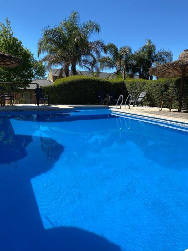 a large blue swimming pool with trees in the background at Cabañas Peumayen in Colón