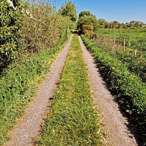 a dirt road in the middle of a field at Castle view Cabin 