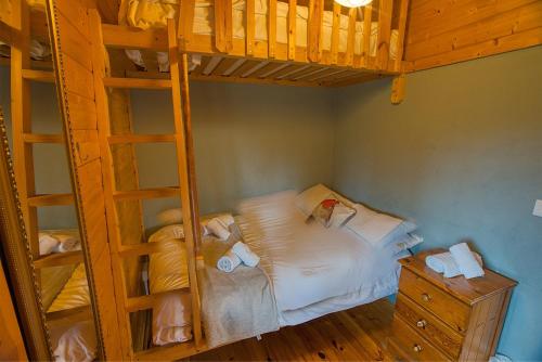 a bedroom with a bunk bed and a ladder at Red Robin Nest in Galway