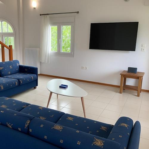 Entire villa with big garden and BBQ amenities