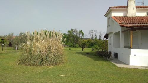 a house with tall grass next to a building at Entire villa with big garden and BBQ amenities in Áyios Pávlos