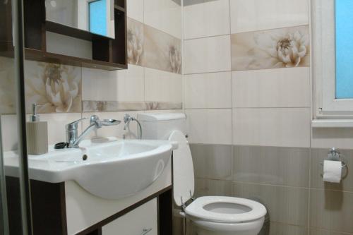 un baño con lavabo e inodoro en Casa Gabi, en Turda