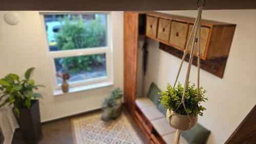 a room with potted plants and a window at Ferienwohnung am Stadtpark #2, 2BR, 109m2, Parkplatz in Ilmenau