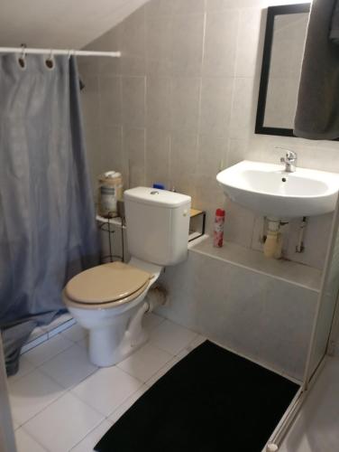une salle de bain avec toilettes et lavabo dans l'établissement Appartement meublé 265, à Nice