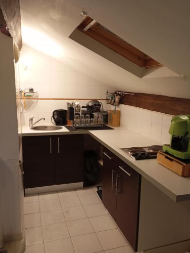 une cuisine avec un évier et un plan de travail dans l'établissement Appartement meublé 265, à Nice