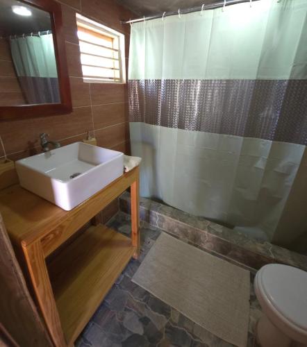 a bathroom with a sink and a shower and a toilet at La Casita De La Cueva in Cabo Rojo