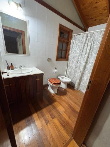 a bathroom with a toilet and a sink and a toilet istg at El retoño in San Antonio de Areco