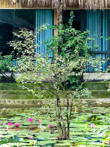 a tree in a pond with flowers in front of a building at Green Valley Homestay - Thung Lũng Xanh in Nguyên Ngoại