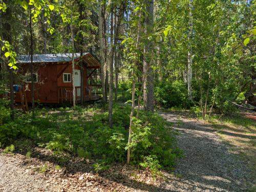 a cabin in the middle of the woods at Sven's Basecamp Hostel in Fairbanks