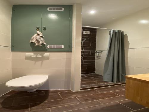 une salle de bain avec toilettes et douche dans l'établissement Villa in Caunes-Minervois with Private Pool, cleaning included, à Caunes-Minervois