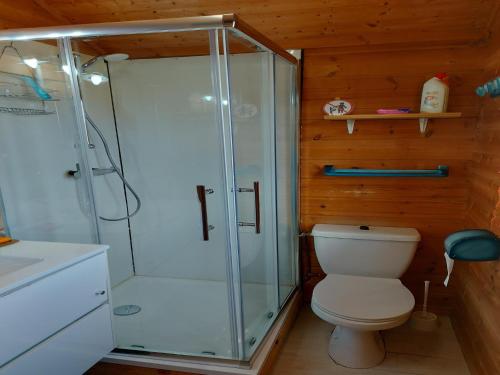 une salle de bain avec une douche en verre et des toilettes dans l'établissement Chalet in Vosges near Ski Slopes, cleaning included, à Saint-Maurice-sur-Moselle