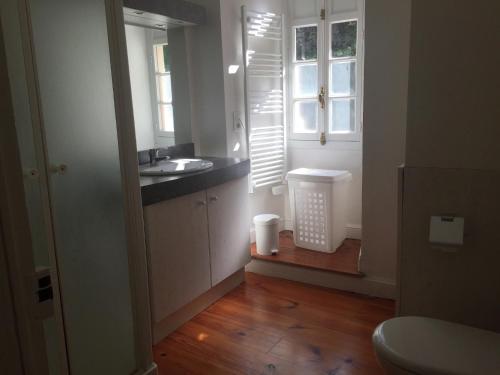 une petite salle de bain avec un lavabo et une fenêtre dans l'établissement Apartment in Serrières with Alps View Pool, cleaning included, à Serrières-en-Chautagne