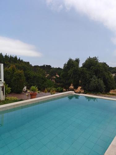 a large blue swimming pool with trees in the background at Casinhas Vale de Mouro in Melides