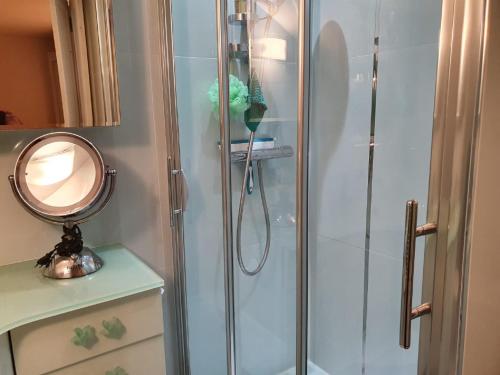 une douche avec une porte en verre à côté d'un miroir dans l'établissement Village House in France with Private Pool, cleaning included, à Bagnols-en-Forêt