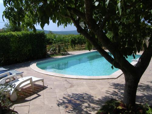 - une piscine avec des chaises et un arbre dans l'établissement Holiday House Aups near Lac Sainte Croix, cleaning included, à Aups