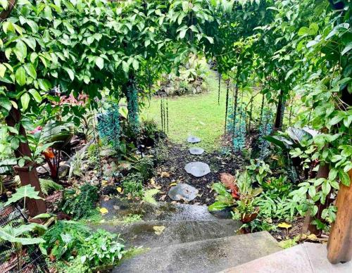 a garden with a path through a garden with plants at Studio Phoenix Pet Friendly Near Black Sand Beach & Volcanic Forest in Pahoa