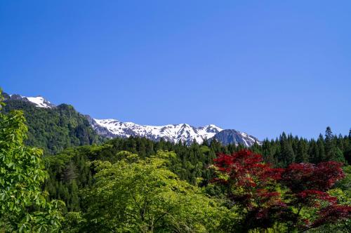 a view of the mountains from the forest at 焼乃湯 in Takayama