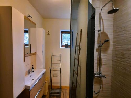 une salle de bain avec un lavabo et une douche dans l'établissement Holiday Home in Haute-Vienne near Nature Park, cleaning included, à Les Salles-Lavauguyon