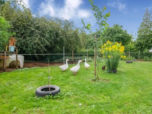 Gallery image of Sevenig Our Family Farmhouse, cleaning included in Harspelt