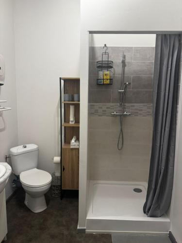 a bathroom with a shower with a toilet and a sink at COMME A LA MAISON in Espéraza