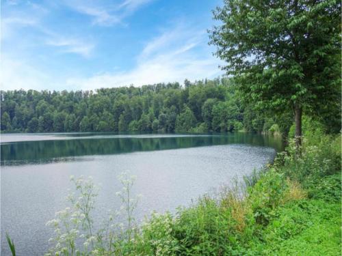 Gallery image of Strotzbüsch Forest Hideaway, cleaning included in Strotzbüsch