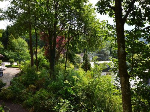 Gallery image of Strotzbüsch Forest Hideaway, cleaning included in Strotzbüsch