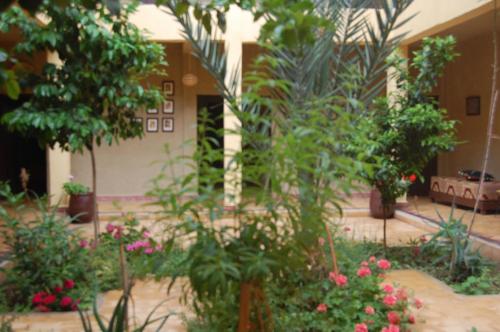 Zahrada ubytování Auberge Amellagou