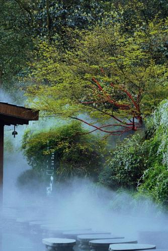 a misty river with a bridge and trees in the background at 青城山坐忘森林疗愈酒店 in Dujiangyan