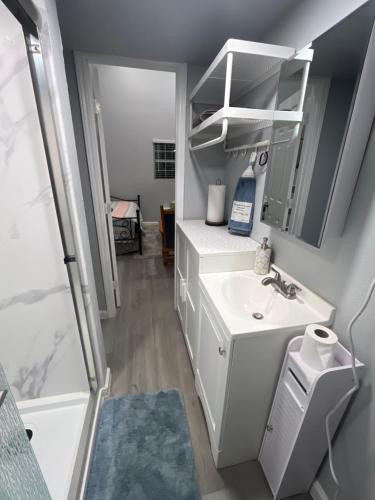 a bathroom with a white sink and a shower at Tiny house with smart bidet and water purify-system in Gastonia