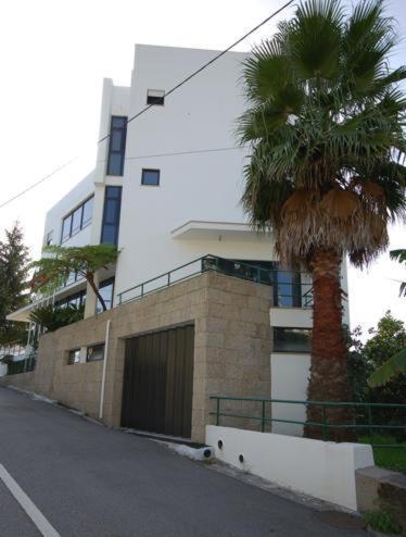 a building with a palm tree next to a street at Hotel O Cortiço in Sever do Vouga