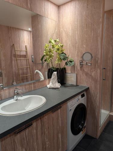 une salle de bain avec un lavabo et une machine à laver dans l'établissement Appartements Caumartin 64, à Paris