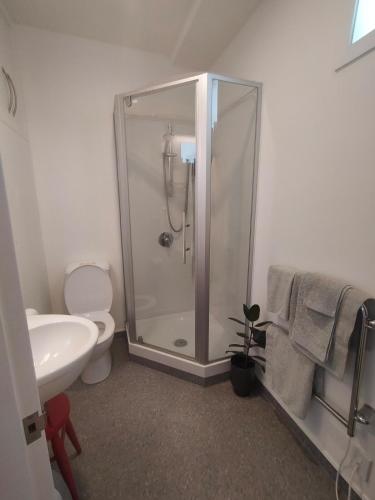 a bathroom with a shower and a toilet and a sink at Trendy Sunny Inner city apartment in Wellington