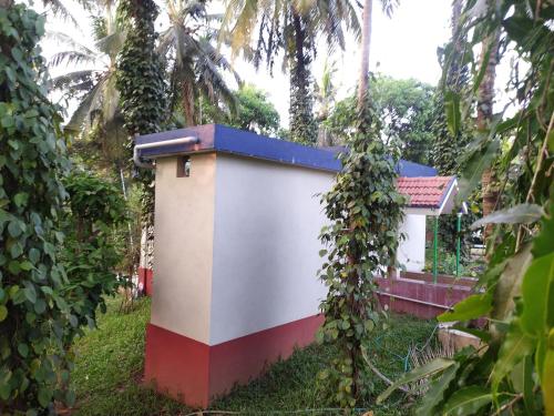 Giardino di StayCool Homestay near Airport