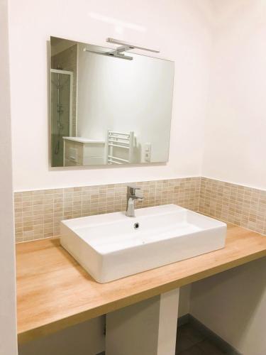 a bathroom with a white sink and a mirror at Appartement au Cœur de Poligny in Poligny