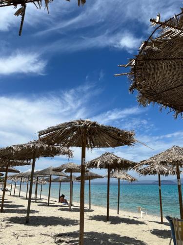 Φυσικό τοπίο κοντά σε αυτό το διαμέρισμα