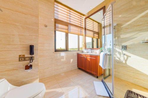 a bathroom with a toilet and a shower and a sink at YUN-RAY Hotel Shijiazhuang in Shijiazhuang