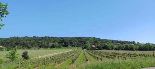 Gallery image of Bien être en 5 étoiles au cœur du sud Ardèche, Domaine de Chaussy, rivières vignobles et villages classés in Lagorce