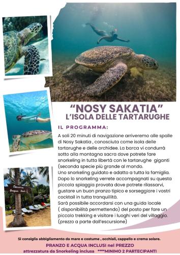 a collage of photos of a turtle in the ocean at A casa di Giorgia lodge Nosy be Andilana in Nosy Be