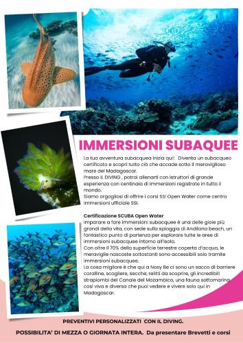 a collage of photos of a person swimming in the ocean at A casa di Giorgia lodge Nosy be Andilana in Nosy Be