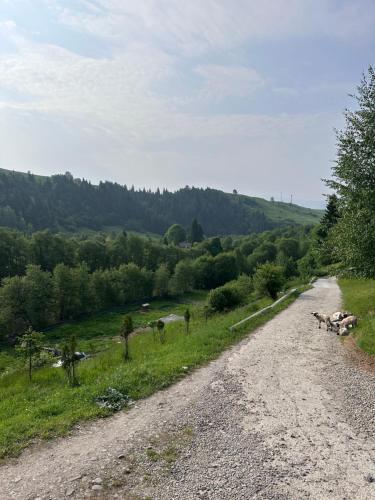 a dirt road with some animals on the side at Карпатська Криївка in Yasinya