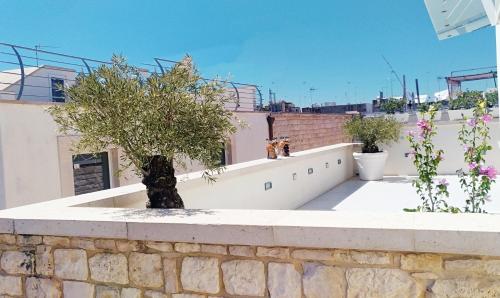 a balcony with two trees on a building at B&B re apartments Palazzo Muscati in Molfetta