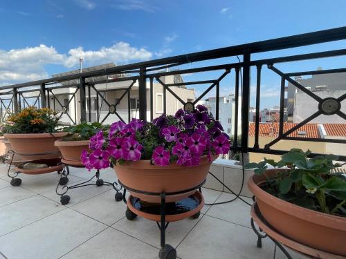 Central Apartment